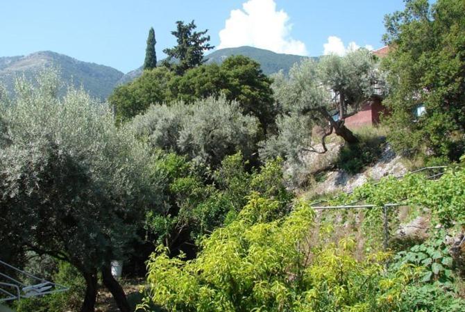 نِكيانا Villa Galanos الغرفة الصورة